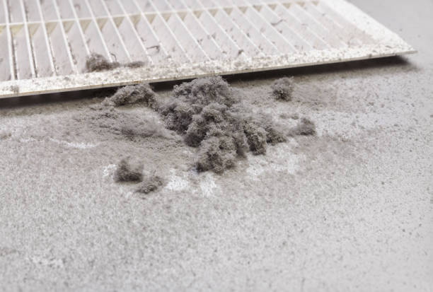 Best Air Duct Inspection  in Dubach, LA