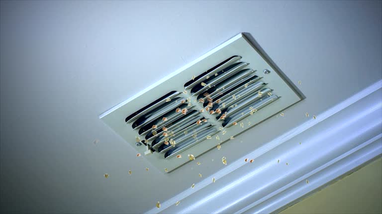 Affordable HVAC Duct Cleaning in LA